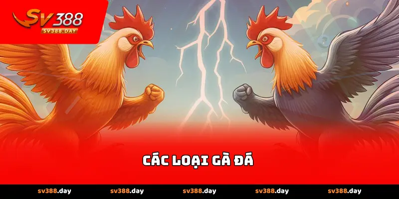 Các loại gà đá
