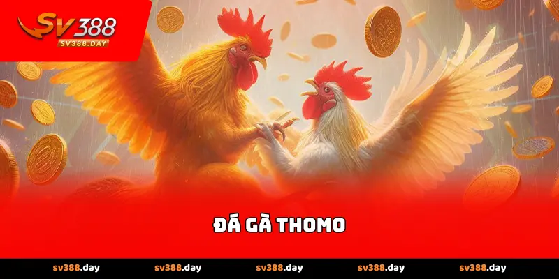 Đá Gà Thomo